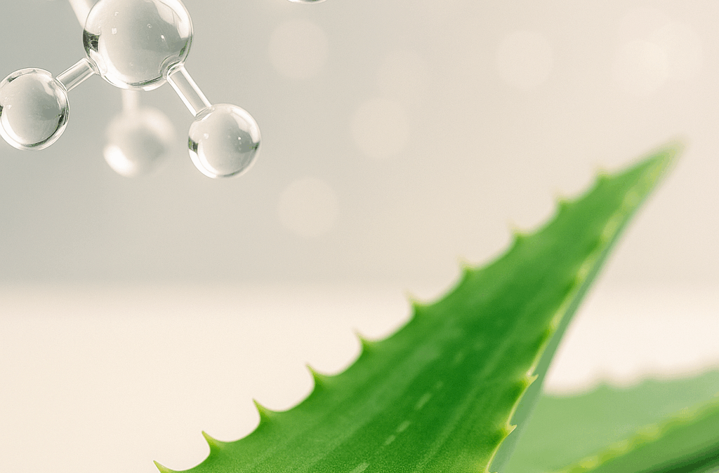 Foglia di Aloe Vera con molecole scientifiche stilizzate - concetto di efficacia scientifica naturale